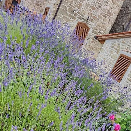 Podere Verdi Colline * Poppi