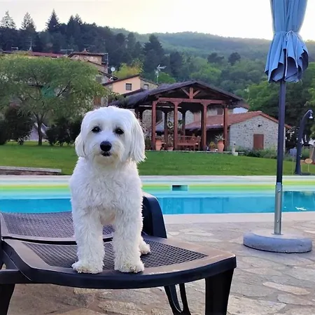 Podere Verdi Colline *
