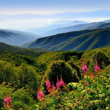 بيت للعطل Podere Verdi Colline بوبّي